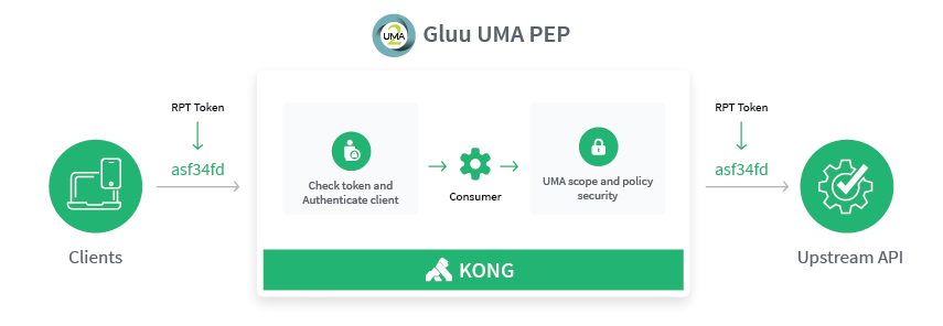 UMA PEP diagram